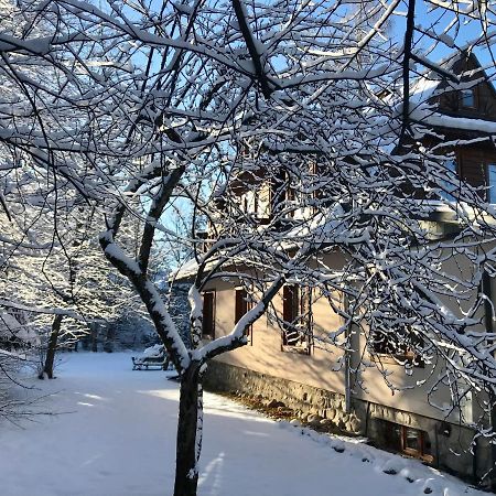 Willa Topaz Zakopane Bagian luar foto